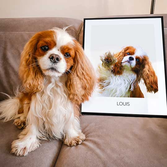 Create Your Own Pet Frame - Realistic - Framed – My Pet Frame UK