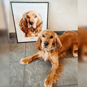 Create Your Own Pet Frame - Watercolor - Framed